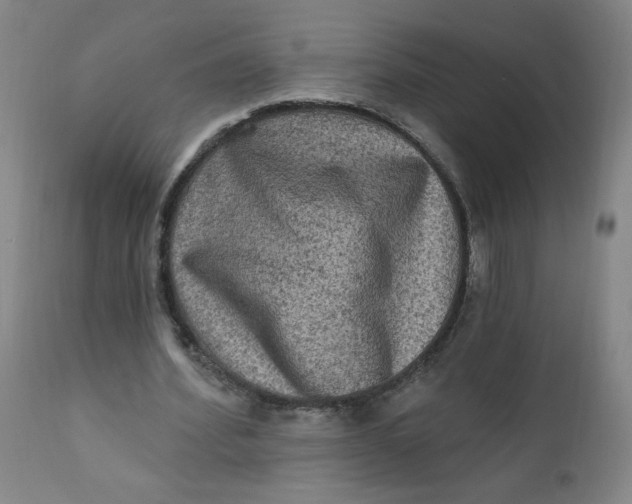 X0000112420580200909041414