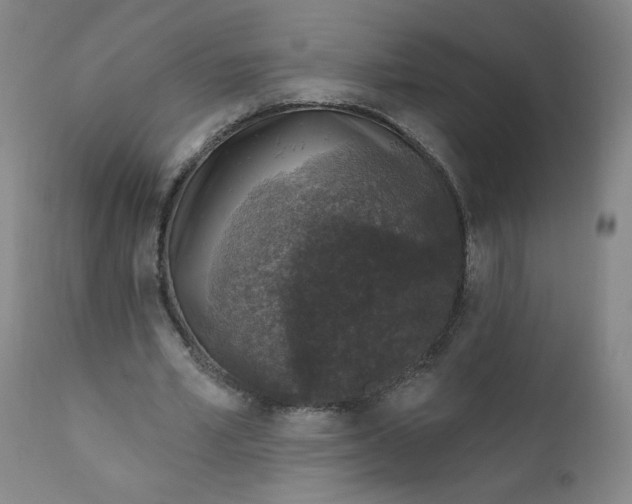 X0000112420581200909041414