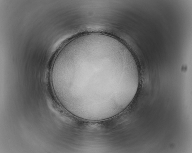 X0000112420583200909041414