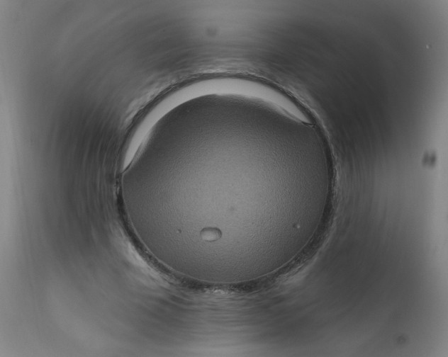 X0000112420585200909041414