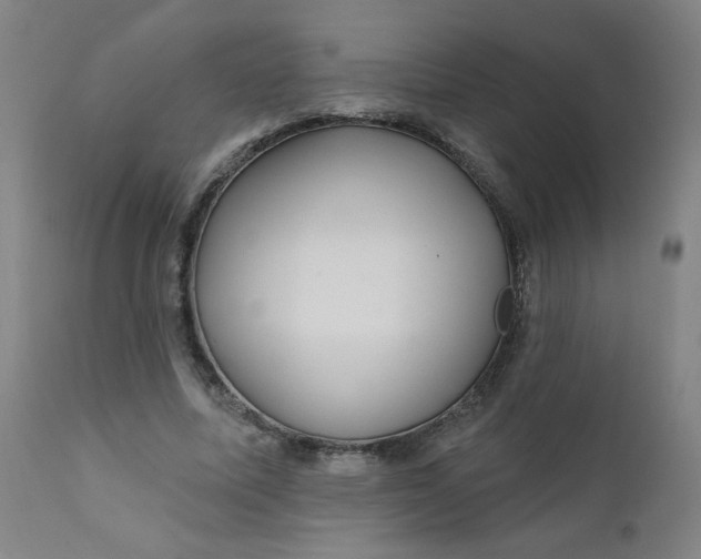 X0000112420587200909041414