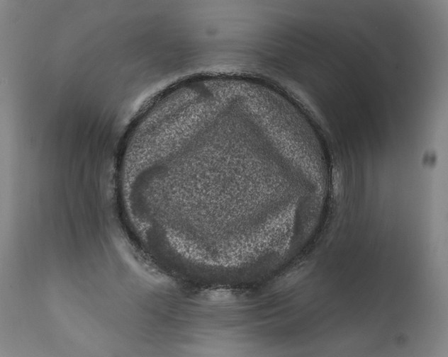 X0000112420588200909041414