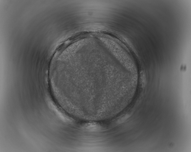 X0000112420589200909041414