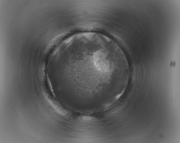 X0000112420590200909041414