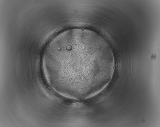 X0000112420591200909041414