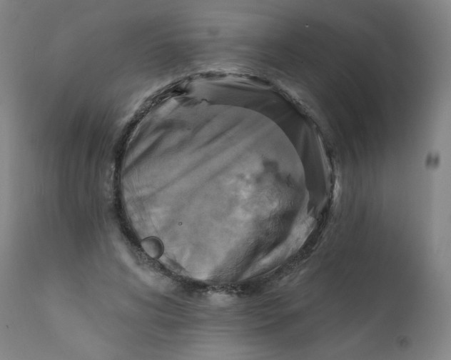 X0000112420592200909041414