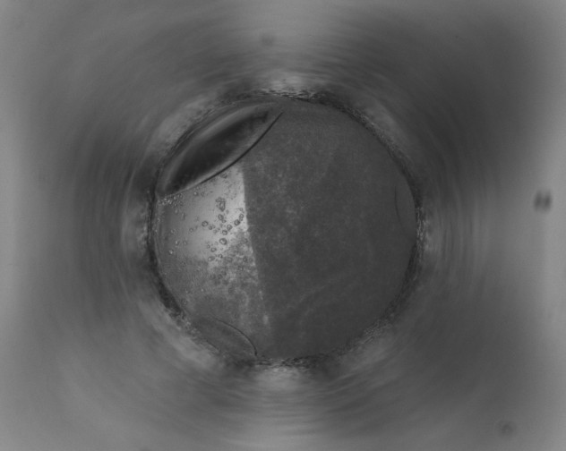 X0000112420593200909041414