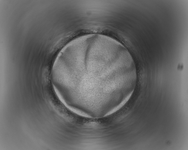 X0000112420594200909041414