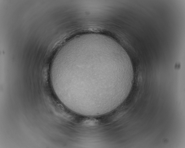 X0000112420595200909041414