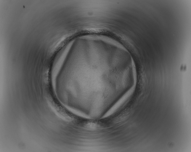 X0000112420596200909041414