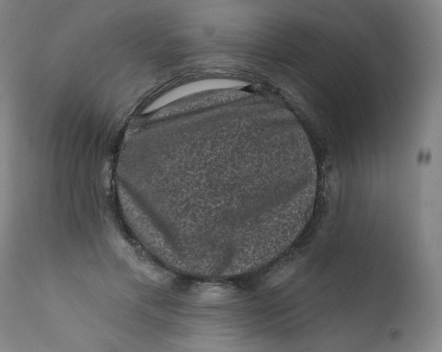 X0000112420597200909041414