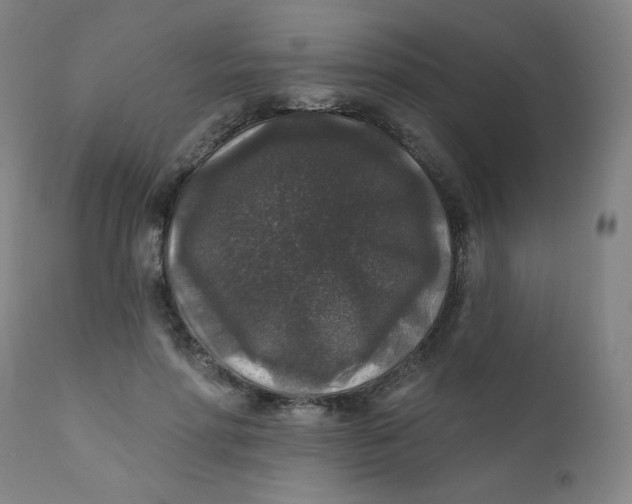 X0000112420598200909041414