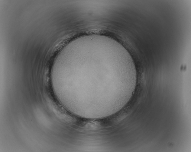 X0000112420599200909041414