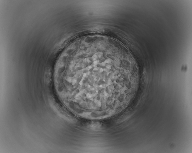 X0000112420600200909041414