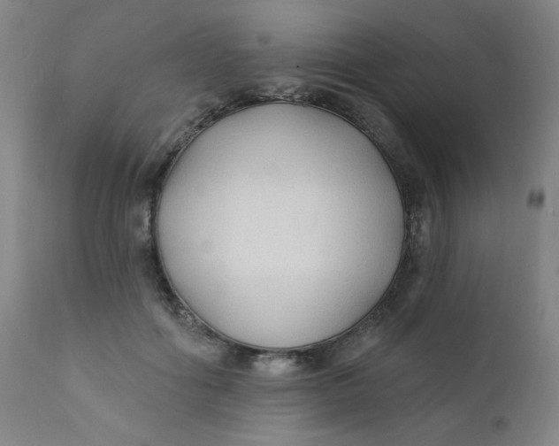 X0000112420602200909041414