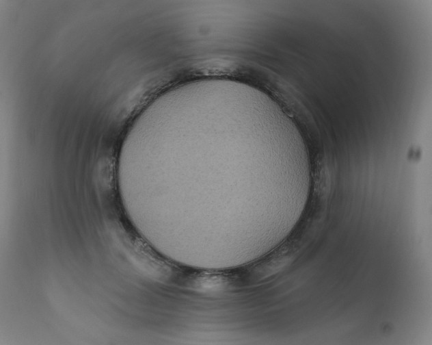 X0000112420604200909041414