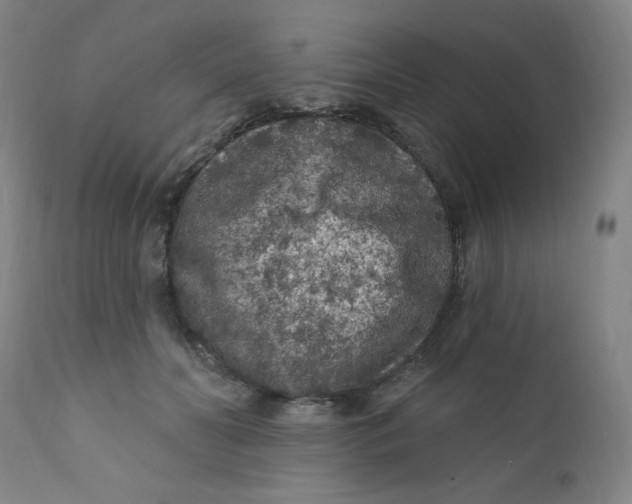 X0000112420606200909041414