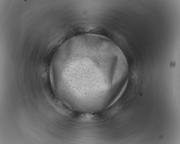 X0000112420607200909041414