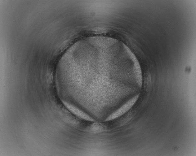 X0000112420608200909041414