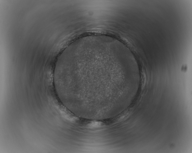 X0000112420609200909041414