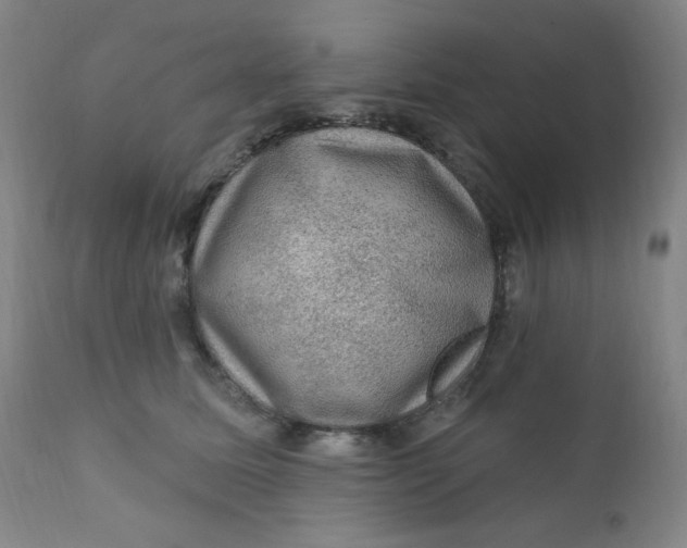 X0000112420611200909041414