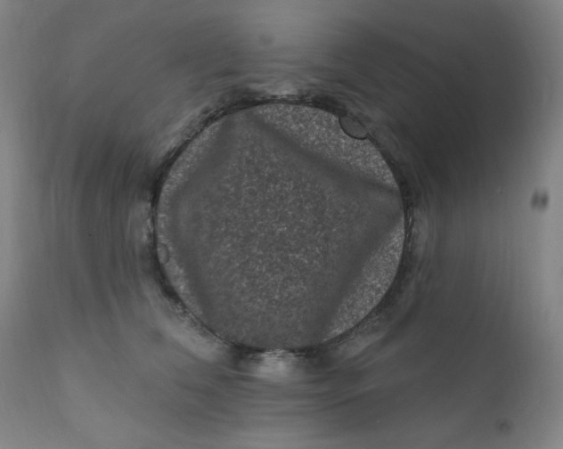 X0000112420612200909041414