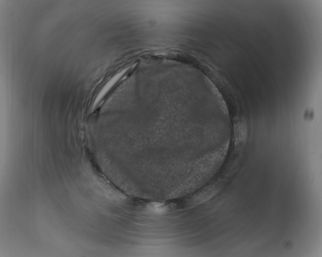 X0000112420613200909041414