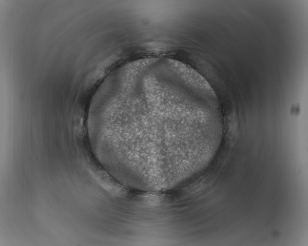 X0000112420615200909041414