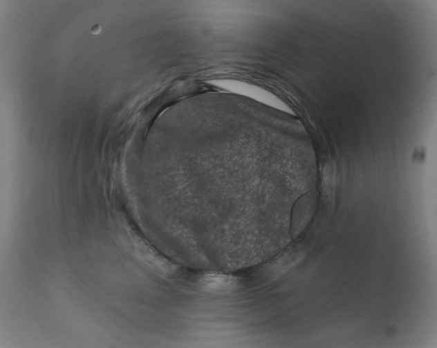 X0000112420617200909041414