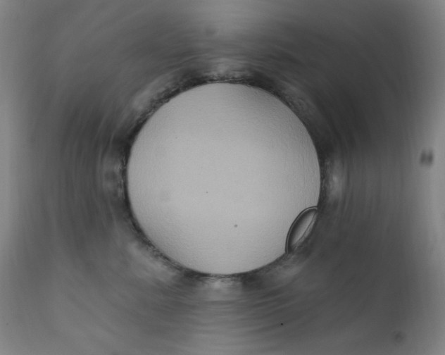 X0000112420619200909041413