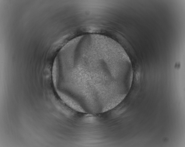 X0000112420620200909041413