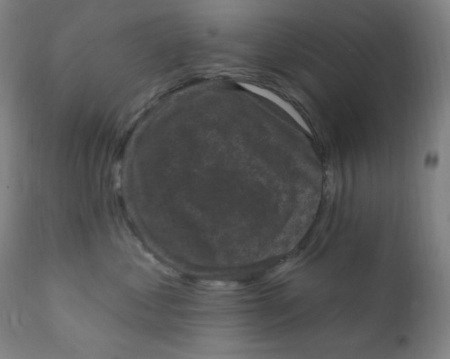 X0000112420621200909041413