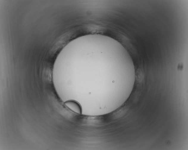 X0000112420622200909041413