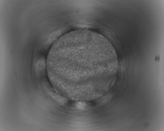 X0000112420623200909041413