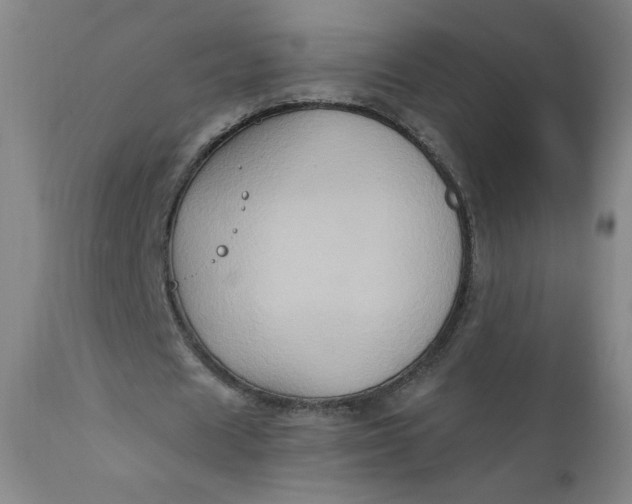 X0000112420625200909041413