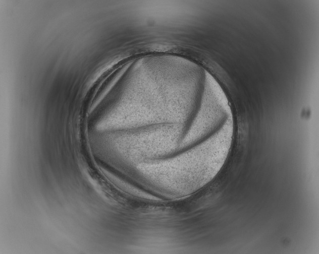 X0000112420626200909041413