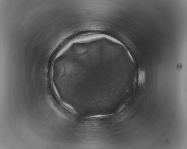 X0000112420627200909041413