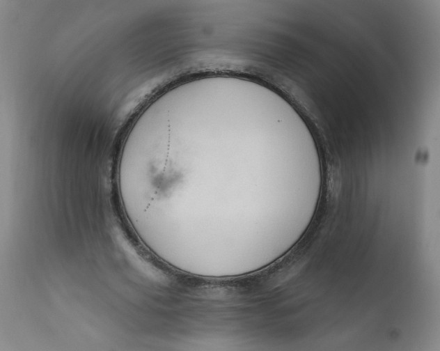 X0000112420629200909041413