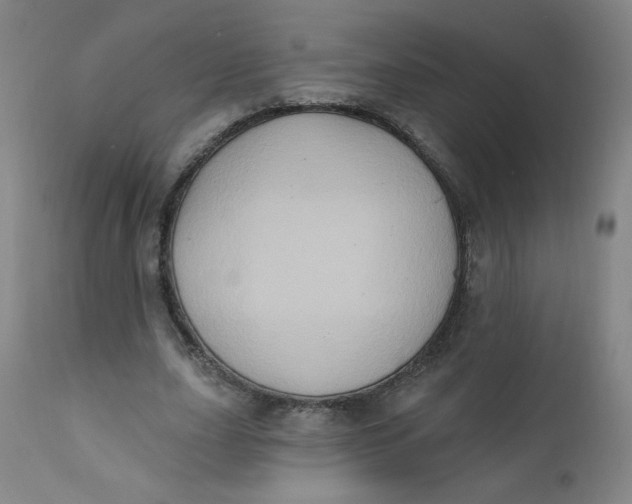 X0000112420631200909041413