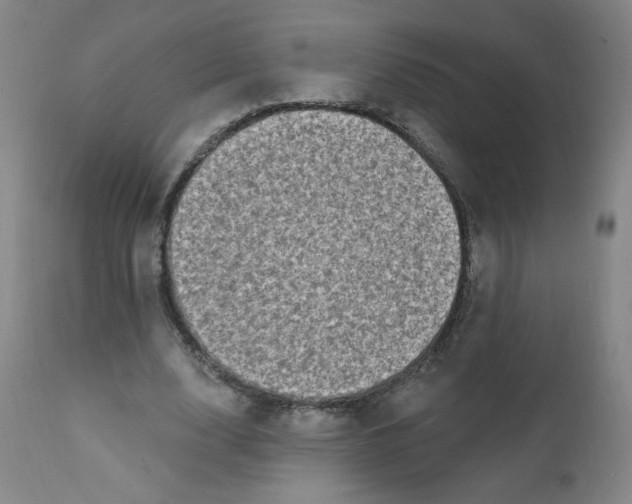 X0000112420632200909041413