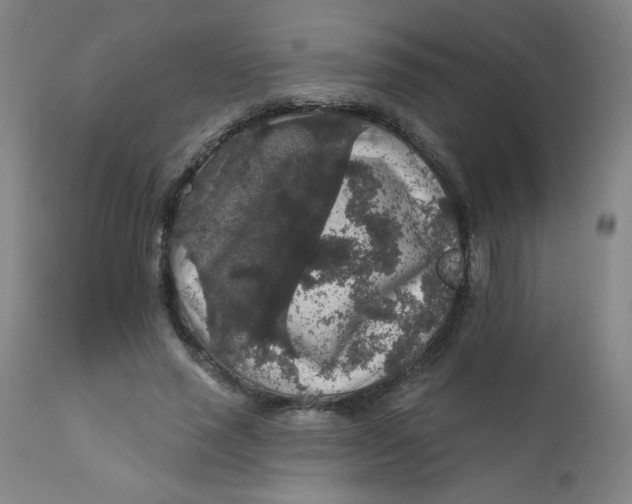 X0000112420637200909041413