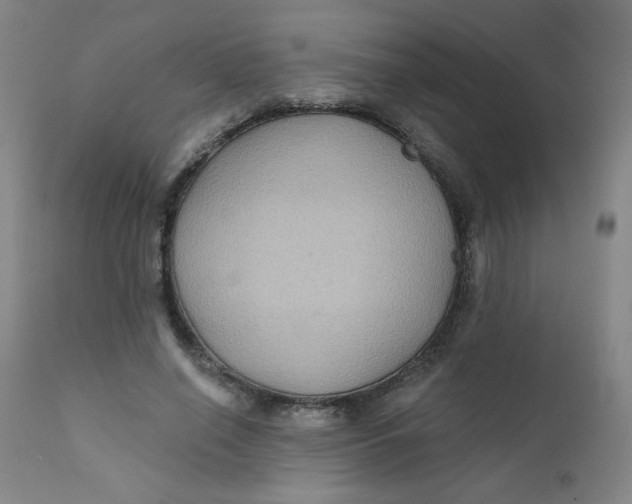 X0000112420638200909041413