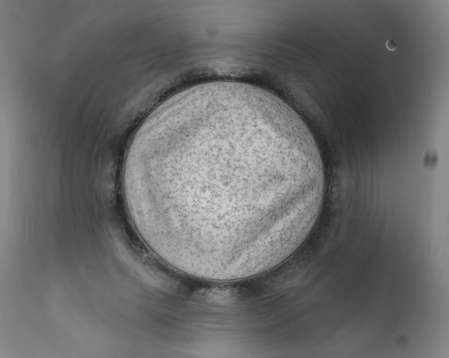 X0000112420639200909041413