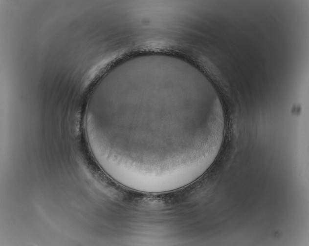 X0000112420640200909041413