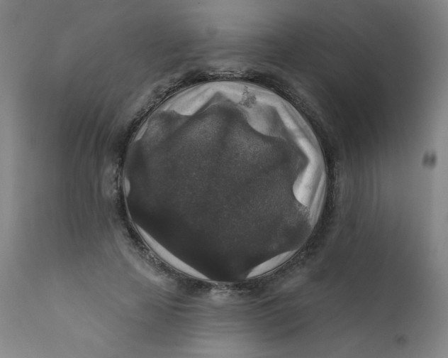 X0000112420641200909041413