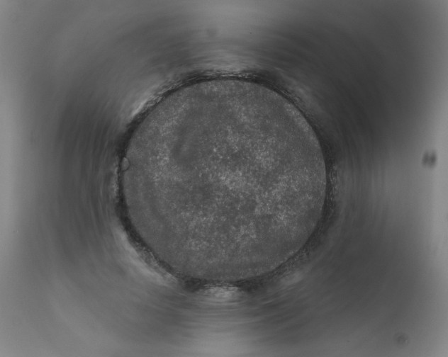 X0000112420642200909041413