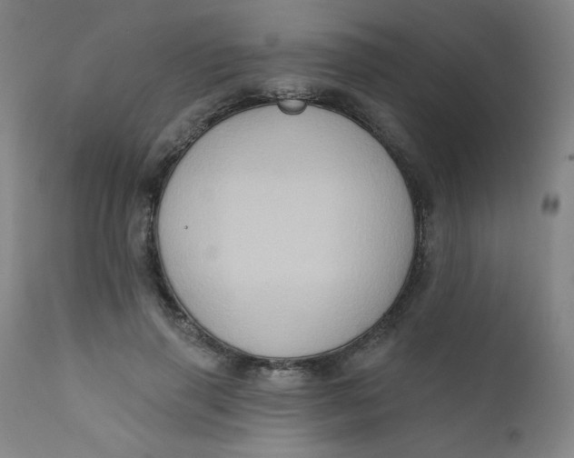 X0000112420645200909041413