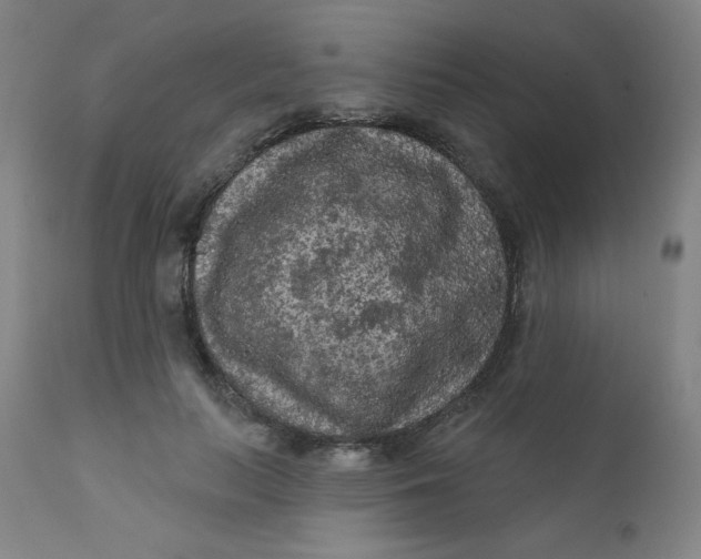 X0000112420647200909041413