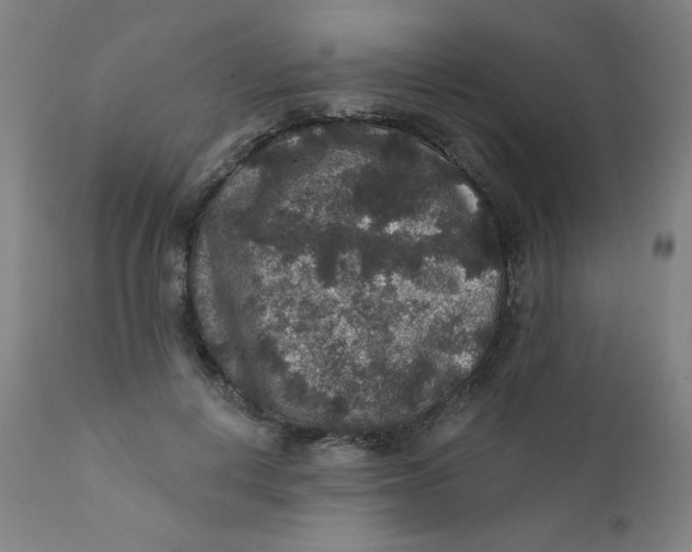 X0000112420648200909041413