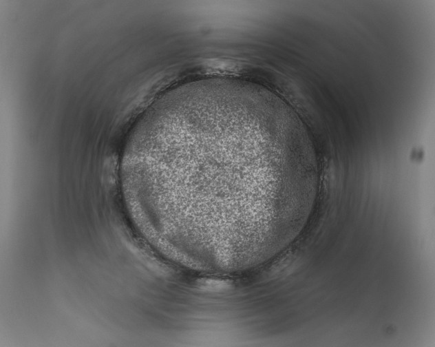 X0000112420649200909041413